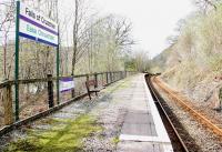 The lonely looking platform bench at Falls of Cruachan Station in April 2005. Loch Awe can be glimpsed below through the trees on the left.<br><br>[John Furnevel 15/04/2005]
