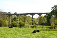 Leslie Viaduct from the south in May 2005 with the chimney of one of the last of the Leven Valley paper mills bisecting the central arch. <br><br>[John Furnevel 01/05/2005]
