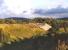 Autumn at Carrbridge viaduct, November 2005, looking south towards the station.<br><br>[John Furnevel 01/11/2005]