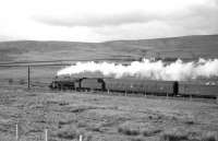 <I>Well, that's the worst over... </I> Thoughts of a fireman, as a Black 5 hurries north on the WCML in the 1960s with a parcels train, photographed shortly after passing Beattock summit.<br><br>[Robin Barbour collection (Courtesy Bruce McCartney) //]