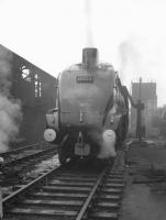Gateshead A4 Pacific no 60023 <I>Golden Eagle</I> takes on water at its home shed on a grey, wet day in the early sixties.<br><br>[K A Gray //]