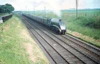 The 'non-stop' passing Drem. Gresley A4 Pacific no 60027 <I>Merlin</I> brings <I>The Elizabethan</I> through Drem and on towards Waverley in the summer of 1958.<br><br>[A Snapper (Courtesy Bruce McCartney) 30/06/1958]