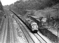 EE Type 3 37113 hauls a rake of open wagons westwards through  Horbury cutting heading for Healey Mills Yard. The loco later moved to Scotland and was named <I>Radio Highland</I> but after a further fourteen years service it ran away in Portobello Yard in 1995 and collided with a HST. Damage was such that it was cut up in the sidings there.<br><br>[Mark Bartlett 05/12/1980]