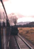 Last days of steam on the Highland Main Line - a Black 5 hard at work hauling a Perth-Inverness goods north of Blair Atholl on 6th September 1961.<br><br>[Frank Spaven Collection (Courtesy David Spaven) 06/09/1961]