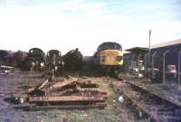 Scrapyard scene at Barry in July 1976.<br><br>[Ian Dinmore /07/1976]
