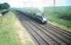 The 'non-stop' passing Drem. Gresley A4 Pacific no 60027 <I>Merlin</I> brings <I>The Elizabethan</I> through Drem and on towards Waverley in the summer of 1958.<br><br>[A Snapper (Courtesy Bruce McCartney) 30/06/1958]