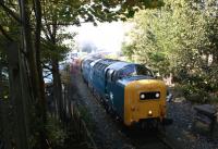 The <i>Ribble Lune Railtour</i> with Deltic 55022 leading is seen having left the Preston Docks system and crossed Strand Road LC, back on Network Rail tracks on the 1 in 30 climb back up to the mainline just south of Preston station on 10 October 2010. 55022 is about to enter Fishergate Hill tunnel on this curving and <br>
steep section. 66066 on the rear was required to assist after the train came to a stand and 55022 was unable to get it moving again.<br>
<br><br>[John McIntyre 10/10/2010]