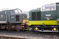Peak D123 stands nose to nose with Deltic D9009 at Lougborough on 10 October.<br>
<br><br>[Peter Todd 10/10/2010]