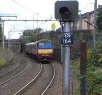 320 310 approaches Sunnyside from Airdrie with a Balloch service on <br>
16 October. Facing the other way is a mysterious 'no aspect' signal.I'm guessing the short stretch of the Down Line from Sunnyside Junction [see image 13234] is no longer bidirectional to this point, after the severing of the junction for the Gunnie branch, and that this fixed danger signal is now redundant. Either that or the bulb has gone.<br>
<br><br>[David Panton 16/10/2010]
