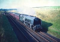 The 5.30pm St Enoch - Carlisle stopping train photographed south of Lugton on 22 August 1959. Locomotive is Stanier Pacific no  46223 <I>Princess Alice</I>. <br>
<br><br>[A Snapper (Courtesy Bruce McCartney) 22/08/1959]
