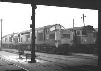 Inside looking out. Class 37 no 6839 together with what is thought to be 6856 standing alongside a class 27 in the yard at Polmadie MPD on 14 February 1970.<br><br>[Bill Jamieson 14/02/1970]