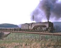 A2 Pacific no 60530 <I>Sayajirao</I> passing Stobs camp with a freight, thought to have been taken in June 1966 with the A2 standing in for a failed diesel locomotive.<br><br>[Robin Barbour Collection (Courtesy Bruce McCartney) /06/1966]