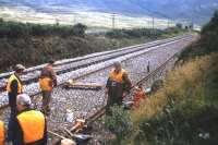 A permanent way gang welding rails south of Dalwhinnie as part of the track redoubling work to Blair Atholl in the summer of 1976.<br><br>[Frank Spaven Collection (Courtesy David Spaven) //1976]