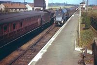 60031 <I>Golden Plover</I> runs through Drem with a down ECML express in 1958 passing a stopping train at the up platform. <br><br>[A Snapper (Courtesy Bruce McCartney) //1958]