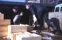 Loading fish for the London market at Fraserburgh on 27th March 1973. This and other insulated vans would leave on the (late morning) daily goods to Aberdeen where it would form part of the consist of the dedicated early afternoon fish train from Aberdeen to Kings Cross. [See image 45182] <br><br>[David Spaven 27/03/1973]