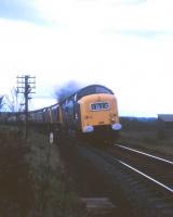 Motive power to make your eyes water! A Class 55 + Class 24 + Class 26 combination at the head of a southbound passenger train coming off Culloden Viaduct in the summer of 1973. The Deltic was returning from a military naming ceremony in Inverness.<br>
<br><br>[David Spaven //1973]