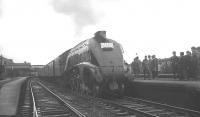60026 <i>Miles Beevor</I> pauses at Stirling on 4 September 1965 with the LNER Society <i>'LNER Pacific Tour'</i> 1.20 pm Aberdeen - Glasgow Queen Street. Sadly, not one for the headboard connoisseur.<br><br>[K A Gray 04/09/1965]