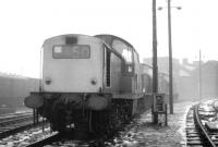 A misty Motherwell shed on 11 January 1971, with snow on the ground, hosting a trio of Clayton locomotives. The individuals concerned are (front to rear) 8502, 8568 and 8538. All 3 examples were withdrawn in October that year. After being purchased for private industrial use 8568 was later preserved. [See image 22649]   <br><br>[John Furnevel 11/01/1971]