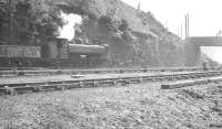 Former GWR pannier tank at work in the summer of 1960 just to the north of Aberbeeg shed.<br><br>[K A Gray 12/08/1960]