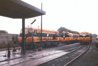 Shed scene at Limerick in July 1988.<br><br>[Ian Dinmore /07/1988]
