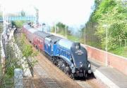 60007 <I>Sir Nigel Gresley</I> passing through Dalgety Bay with the SRPS <I>Forth Circle</I> special on 24 April.<br><br>[Jim Peebles 24/04/2011]