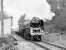 BR Standard class 9F 2-10-0 no 92220 <I>Evening Star</I> seen in operation on the West Somerset Railway in the early spring of 1989.<br><br>[Peter Todd 19/03/1989]