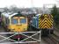 Resident shunter 03073 running brake van trips in the yard of the Crewe Heritage Centre on 12 February. This was part of a charity event to raise funds for the Emmie Dixon Home in the town. 66619 and 70011 were provided as static exhibits by Freightliner Ltd to help support the event.<br><br>[John McIntyre 12/03/2011]