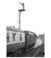 45562 <I>Alberta</I> about to leave Hexham on 3 June 1967 with the returning LCGB 'Thames - Tyne Limited'. The Jubilee will take the special as far as Newcastle Central where 4472 <I<>Flying Scotsman</I> will take over for the return to London. The distinctive old signal gantry at the east end of Hexham station which appears in many photographs from the steam era has since been replaced by cls [see image 29918] <br><br>[K A Gray 03/06/1967]