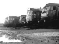 Diesel locomotives standing at Crewe north stabling point in April 1969 following a shower of rain. Readable right to left are D1739, D7520, D437 and D402.<br><br>[John Furnevel 26/04/1969]