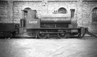 Drummond ex-Caledonian 0-4-0ST 'Pug' no 56029, complete with dumb buffers and wooden tender, stands alongside Dawsholm shed in March 1959. Built at St Rollox works in 1895 the locomotive was later transferred to Kipps shed, from where withdrawal took place at the end of 1962 [see image 22947]. 56029 was cut up at MMS Wishaw in August 1964.    <br><br>[Robin Barbour Collection (Courtesy Bruce McCartney) 23/03/1959]