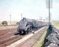 A4 Pacific no 60012 <I>Commonwealth of Australia</I> westbound through Saughton Junction at speed on 31 July 1959. The usual suspects observe the proceedings from the wall on the right.<br><br>[A Snapper (Courtesy Bruce McCartney) 31/07/1959]