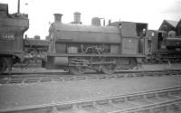 Peckett 0-4-0ST no 1143 stands in the shed yard at Danygraig (87C) on 28 June 1959. The locomotive was acquired by the Great Western Railway from the Swansea Harbour Trust (originally their no 12) in 1923.<br><br>[Robin Barbour Collection (Courtesy Bruce McCartney) 28/06/1959]