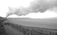 The 10-coach RCTS (West Riding Branch) <I>Three Summits Tour</I> from Leeds City, photographed near Muirkirk on 30 June 1963. Locomotives 103+57581 had taken over the train from 46255 <I>City of Hereford</I> at Carstairs [see image 22675] and hauled it as far as Auchinleck, where 60004 <I>William Whitelaw</I> took charge of the proceedings. The branch was singled in 1956, thus the apparent wrong line working. The location is on the approach to Wellwood.<br><br>[K A Gray 30/06/1963]
