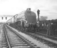 A4 Pacific no 4498 <I>Sir Nigel Gresley</I> stands alongside Carlisle Kingmoor shed on 28 October 1967 with the RCTS (E Midlands, Lancs and North West branches) special <I>'The Border Limited'</I> on its way back to Nottingham.<br><br>[Robin Barbour Collection (Courtesy Bruce McCartney) 28/10/1967]
