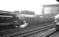 Stanier Pacific no 46250 <I>City of Lichfield</I> awaits 'the off' on a damp February morning at Carlisle in 1964. The locomotive is about to take out the 9am Perth - Euston.<br><br>[K A Gray 29/02/1964]