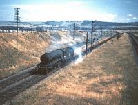 A3 Pacific no 60096 <I>Papyrus</I> approaching Musselburgh with a down ECML Waverley-bound train in July 1955. On the right are the freight lines climbing from Monktonhll Junction heading for Niddrie West.<br><br>[A Snapper (Courtesy Bruce McCartney) 16/07/1955]