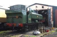Pannier tank no 3650 being prepared for a day's work at Hayes Knoll depot on the Swindon and Cricklade Railway on 24 July 2011. The locomotive is currently on loan from the Great Western Society at Didcot.<br>
<br><br>[Peter Todd 24/07/2011]