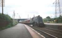 60004 <I>William Whitelaw</I> accelerates <I>'The Talisman'</I> through Joppa in August 1959 shortly after leaving Waverley.<br><br>[A Snapper (Courtesy Bruce McCartney) 08/08/1959]