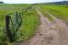 Much of the old main line from Cowdenbeath North to Bridge of Earn (via Glenfarg) has reverted to agriculture, as here between Blairadam and Kinross, but this stretch has been retained for access. View south on 3 June 2011.<br>
<br><br>[Bill Roberton 03/06/2011]