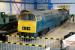 D1023 <I>'Western Fusilier'</I> stands at the entrance to the workshops at the NRM on 29 June 2011. Receiving attention in the background is Deltic 55002 <I>'The King's Own Yorkshire Light Infantry'</I>.<br><br>[John Furnevel 29/06/2011]