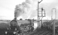 61278 takes water during a stop at Westcraigs on 3 December 1966 with the BR Scottish Region 'Last B1 Excursion'.<br><br>[K A Gray 03/12/1966]
