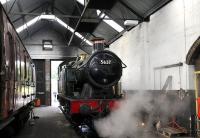 Ex-GWR 0-6-2T no 5637 being steamed for its annual boiler examination in the locomotive shed at Cranmore on the East Somerset Railway on 3 August 2011. <br>
<br><br>[Peter Todd 03/08/2011]
