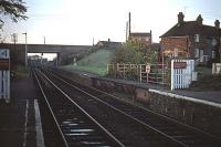 The northern end of Halesworth station in November 1976. Before the road bridge in the background was built in the 1960s, the platforms were combined with a level crossing, so that the platforms could swing for the passage of road traffic. The once movable sections are visible here, falling into disrepair. Subsequently, these sections were restored in situ as a static heritage exhibit. The disused platforms beyond these sections were cut back soon after this photograph was taken.<br><br>[Mark Dufton 07/11/1976]