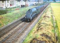 Shortly after turning north at Saughton Junction in July 1959, A4 no 60024 <I>Kingfisher</I> runs parallel with the houses of Broombank Terrace as it makes its way towards the Forth Bridge with a train for Aberdeen.<br><br>[A Snapper (Courtesy Bruce McCartney) 25/07/1959]