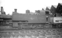 Collett 0-4-0T dock shunter no 1103, built by the Avonside Engine Co, Bristol, in 1926 and spending most of its life in and around Swansea docks. Seen here on its home shed at Danygraig (87C) in June 1959, six months before withdrawal. Note the bell mounted on the front of the cab.<br><br>[Robin Barbour Collection (Courtesy Bruce McCartney) 28/06/1959]