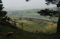 Possibly the only photograph on this site featuring a Pendolino and a large mushroom (left). A southbound service passes a wooded glade and approaches Crawford in the drizzle.<br><br>[Ewan Crawford 06/09/2011]