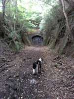 This view shows the southern portal of Combe Down Tunnel - still awaiting restoration in September 2011! [See image 43820]<br><br>[John Thorn 05/09/2011]