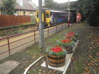 The attractive planters at Crookston (courtesy of the Friends of Rosshall Park and Gardens) add to the pleasant autumn scene on 30 September 2011. In the background a service on the Paisley Canal line is arriving from Glasgow Central, while beyond the fence on the disused platform stands the original 1885 station building, sensitively restored following serious fire damage in the 1980s. [See image 15060]<br><br>[John Yellowlees 30/09/2011]