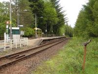 Looking south at Tyndrum Lower station on 20 June 2011. My only previous visit here was in the summer of 1963 when leaving the 6.15am ex Oban at 7.42 to leg it to Tyndrum Upper for the 8.10am to Fort William & Mallaig. There followed a ferry to Kyle and a train on to Inverness to end an intensive two days of shed visits which had started at Perth the previous day.    <br><br>[David Pesterfield 20/06/2011]