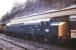 EE Type 4 no D213 <I>Andania</I> at Shrewsbury during an Open Day in August 1987.<br><br>[Ian Dinmore /08/1987]